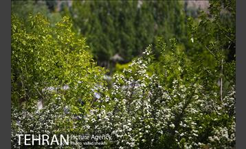 بوستان جوانمردان 14