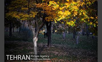 پاییز در بوستان ملت 43