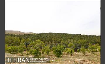 پارک ملی سرخه‌حصار 4