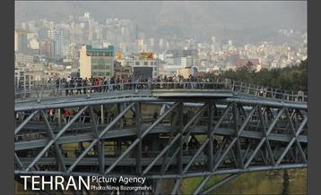 حضور شهروندان در اراضی عباس آباد 20