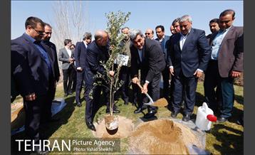 آیین کاشت درخت صلح و دوستی 29