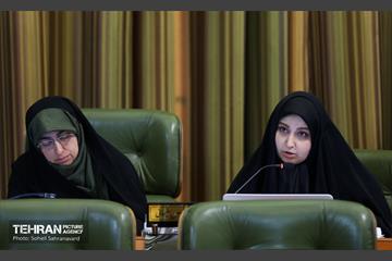 دویست و هفدهمین جلسه شورای اسلامی شهر تهران 8