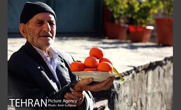 نخستین جشنواره خرمالو در روستای کشار سفلی 16