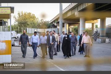 بازدید نرگس معدنی پور از منطقه 17