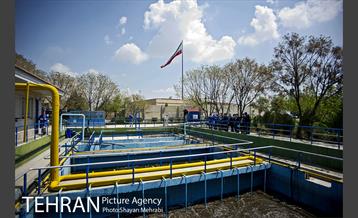 بازدید مدیران شهری از بهشت زهرا(س) 18