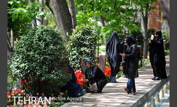 رویش گل های لاله در باغ ایرانی 42