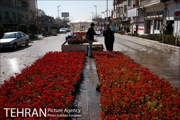 نمایشگاه گل و گیاه نوروزی در پیاده راه ۱۷ شهریور