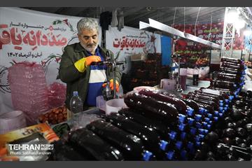 دوازدهمین جشنواره انار  10