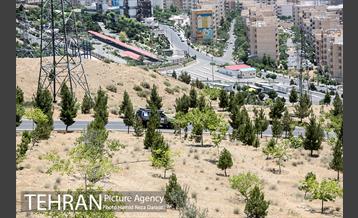 رقـابت یکصد خودرو در رالی تهران  26