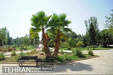 بوستان بسیج 37