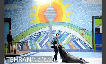 حضور خانواده هاى کارکنان شهردارى تهران در دلفیناریوم برج میلاد به همراه شهردار تهران 3