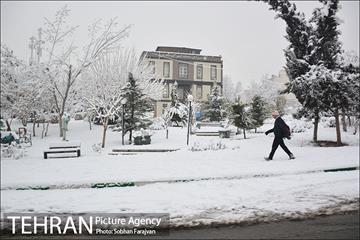 بارش برف زمستانی در تهران-2 13