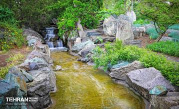 باغ گیاه‌شناسی 3