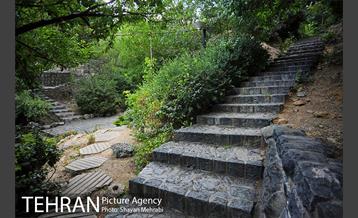 بوستان جمشیدیه 24