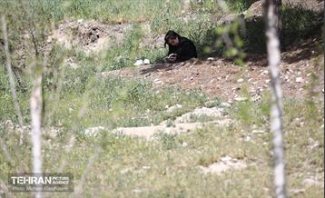 روز طبیعت در پارک جنگلی لویزان 27