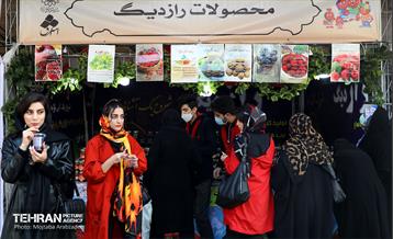 جشنواره انار «صد دانه یاقوت» 7