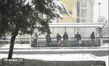 بارش اولین برف زمستانی در تهران 17