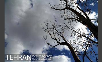 هوای پاک تهران 5