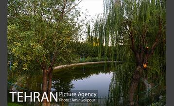 بوستان گفتگو‎ 15