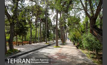 روز طبیعت بدون انسان 9