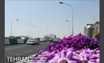 گل آرایی پل سیدخندان 23