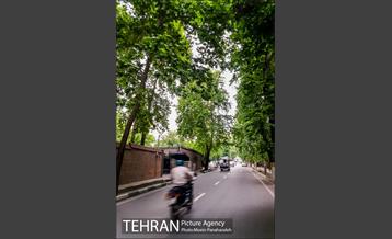 هوای بهاری تهران 3