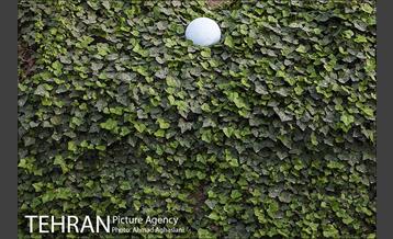 بلوار کشاورز 37