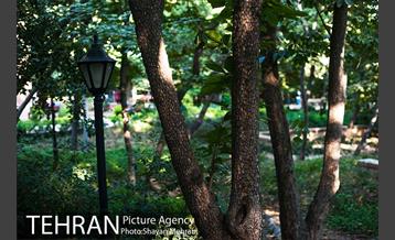 بوستان باغ ایرانی 8