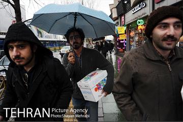 بارش باران بهاری در تهران 25