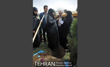مراسم درختکاری به مناسبت روز مادر 43