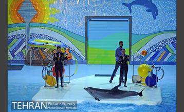 دلفیناریوم برج میلاد 11