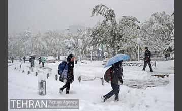 بارش برف در تجریش 22