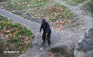 بازدید شهردار تهران از منطقه 2