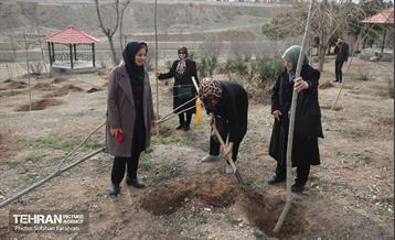 آئین غرس درخت به پاسداشت شهدای منطقه ۵ 10