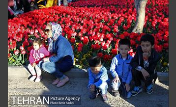 جشنواره لاله‌ها در بوستان زندگی محله هرندی 7
