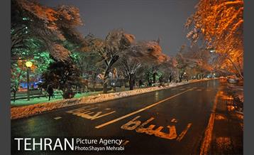 روز برفی در پارک لاله 21