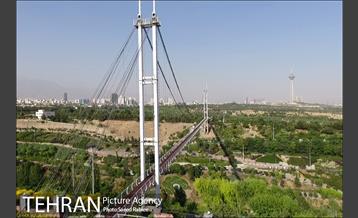 پل معلق بوستان نهج البلاغه 13