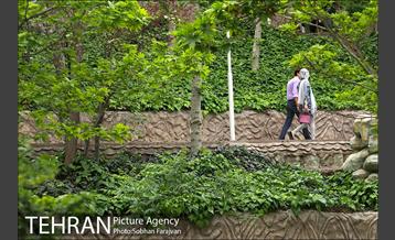 بوستان ساعی 4