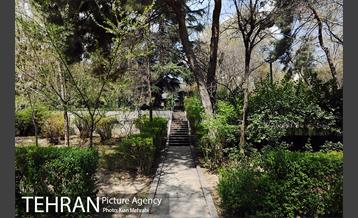 بوستان نیاوران 25