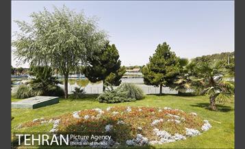 بوستان المهدی 17