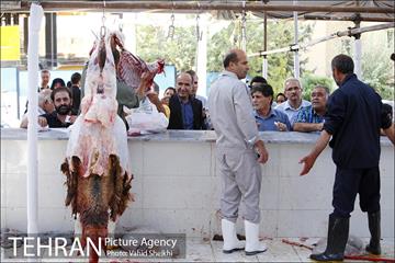 بازدید سعید راد از مراکز عرضه دام  24