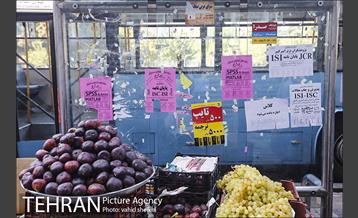 رو درو دیوار این شهر 14