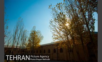 پاییز باغ موزه قصر 13