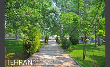 بوستان بعثت 51