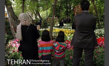 لاله های بهاری بوستان مختاری 28