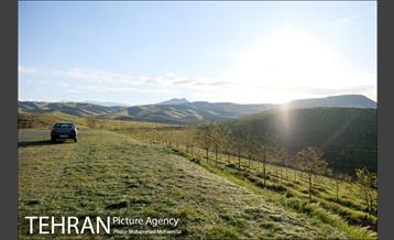 بازدید از پروژه جنگل کاری 1250 هکتاری 3