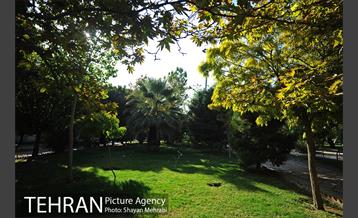 بوستان هنرمندان (ایرانشهر) 9
