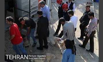 بازدید پیروز حناچی شهردار تهران از دهکده مهربانی 6