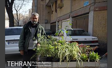 شهرنگار؛ محله بریانک 26