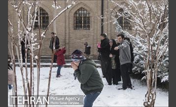 روز برفی در باغ موزه قصر‎ 25